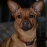 linnor higbra's profile picture