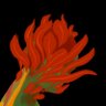 Sun Cutter (aka K.Pearce)'s profile picture