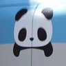 panda 的头像
