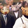 Profilbild von B-rat