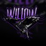 Willow 音楽's profile picture