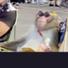 Regardless's profile picture