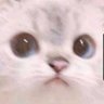 Sakurai Theo's profile picture
