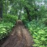 Фото профиля Borealis Grove