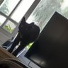 Lily profil fotoğrafı