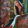 علي محمد نور's profile picture