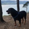 Profilbild von mac