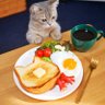 たーちゃん 的头像