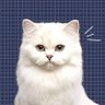fahzai^^'s profile picture