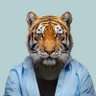 Tiger Man profil fotoğrafı
