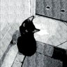 Profilbild von Kirac