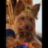 MARY CARMEN profil fotoğrafı