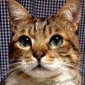 💚ルデア🧡🐭🎹🐧❤️'s profile picture