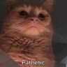 Profilbild von gregisjay