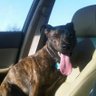 Profilbild von Dave Gray