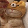 James💤's profile picture