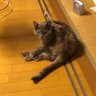まさみん profil fotoğrafı