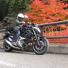 まめちん🇯🇵's profile picture