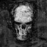 Никита's profile picture