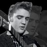 Profilbild von elvis