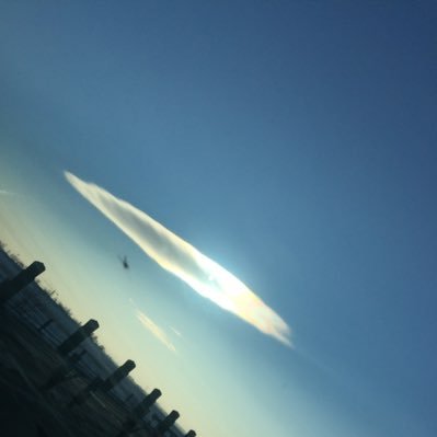 gaogaojinjin's profile picture