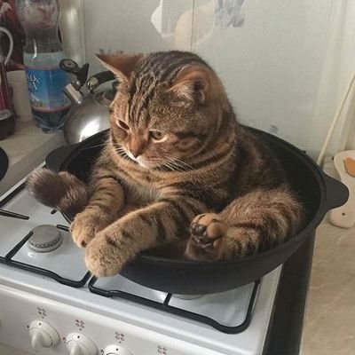 ananadulu's profile picture