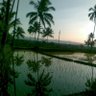 Wawan Koerniawan's profile picture