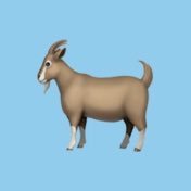 GOATchalLEnge's profile picture