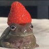 Crab's profile picture
