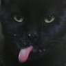 OORDCO™️'s profile picture
