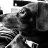 Profilbild von Marla Sease