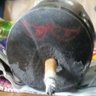 パッキーofジョイtoy's profile picture