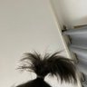 nana 的头像