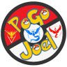 Profilbild von PoGo Joel