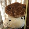 カピバラ's profile picture