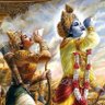 Shekar 的头像
