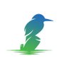 TheKingfisher's profile picture