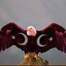 Фото профиля ERİATNİ