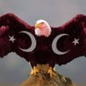 musa başyurt's profile picture