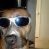 Profilbild von Kathy Turner