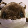 まいど's profile picture