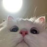 Profilbild von sebo