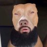 Nig Gel's profile picture