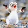 PewPewPew 的头像