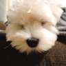 kk profil fotoğrafı
