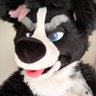 Boofer's profile picture