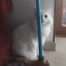 Profilbild von Loganycat