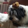 Profilbild von Foin Gerard