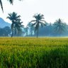 Profilbild von Tamil Medium