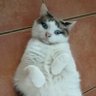 Фото профиля Matou Cosmique